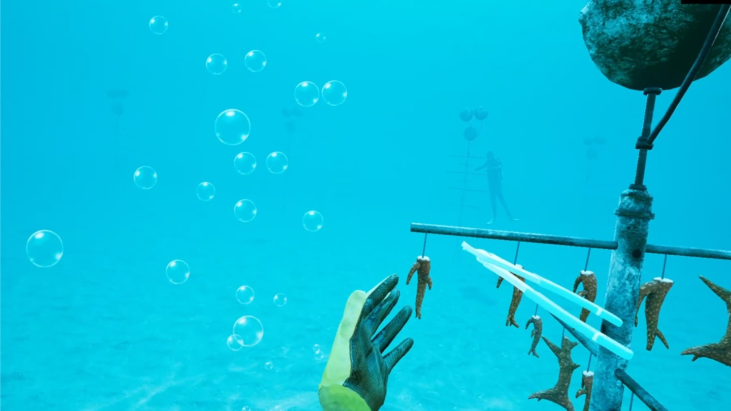 #6. How to Rescue a Reef LITE (Meta) Podle: Rescue a Reef program