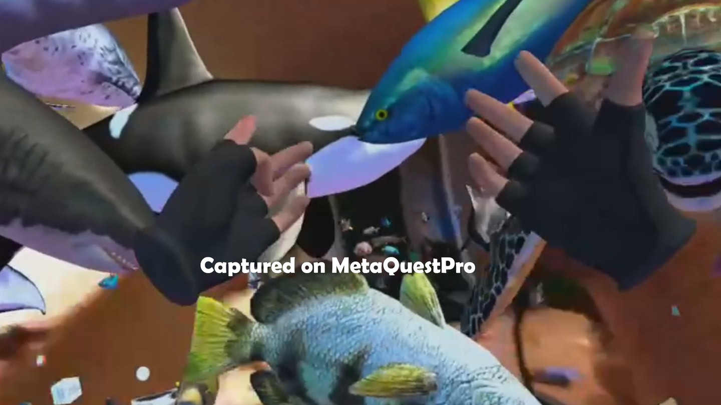 #4. ZOSU Zoo (Meta) 由: ZOSU