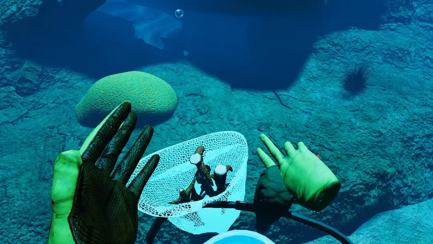 #3. How to Rescue a Reef LITE (Meta) Bởi: Rescue a Reef program