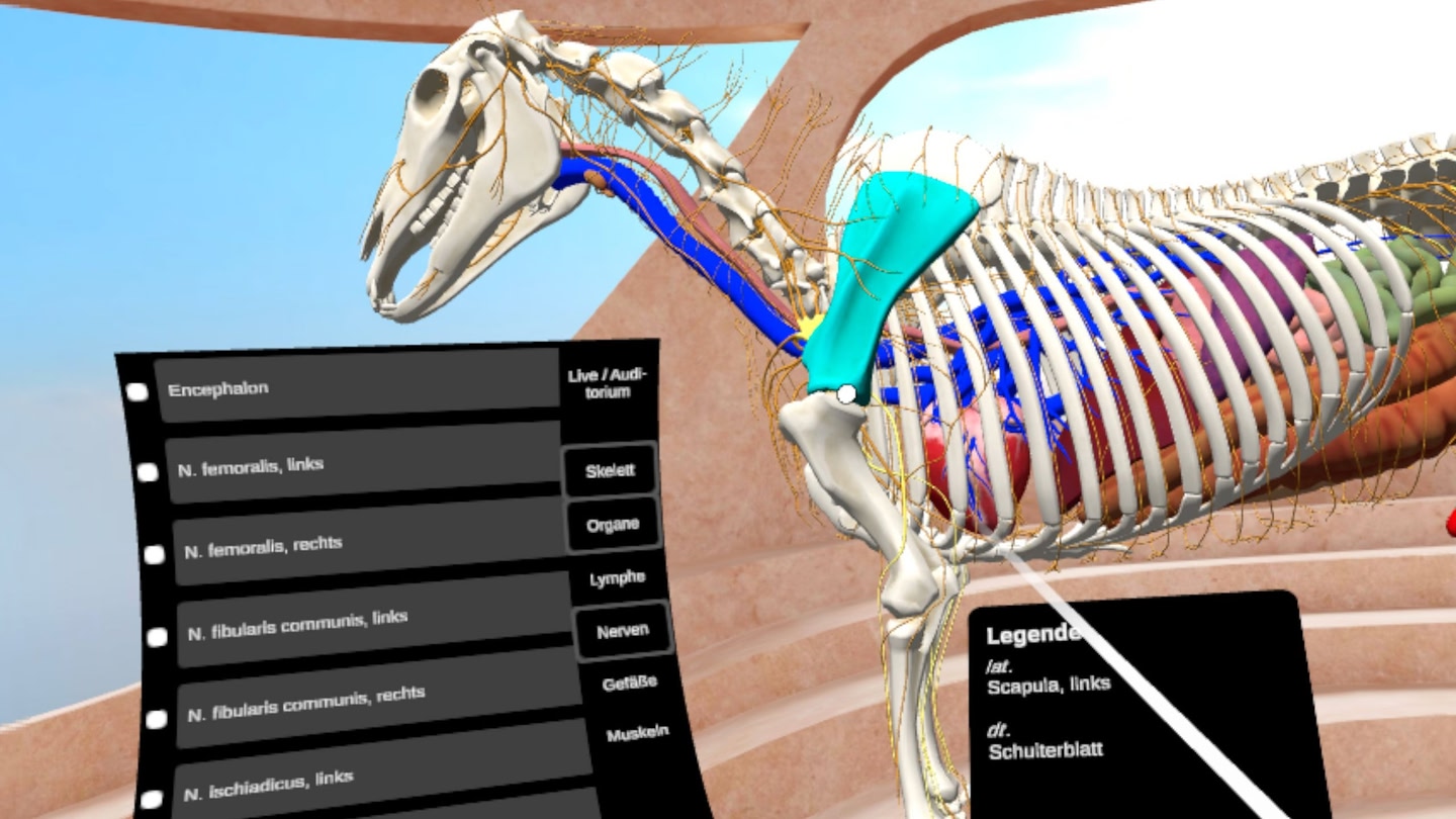 #3. ATM Academy (Meta) 来自: CLT GmbH