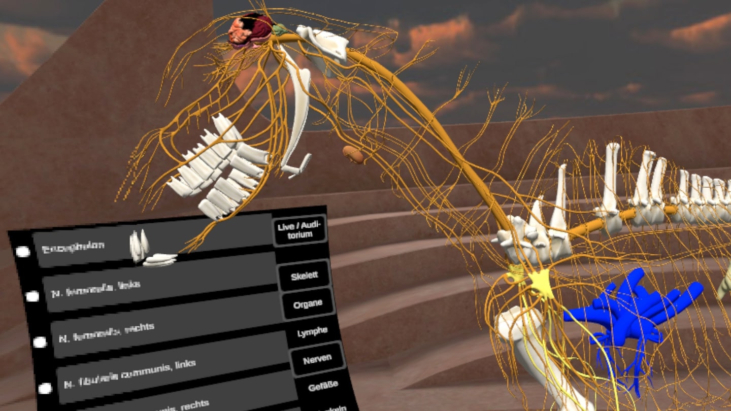 #5. ATM Academy (Meta) 来自: CLT GmbH