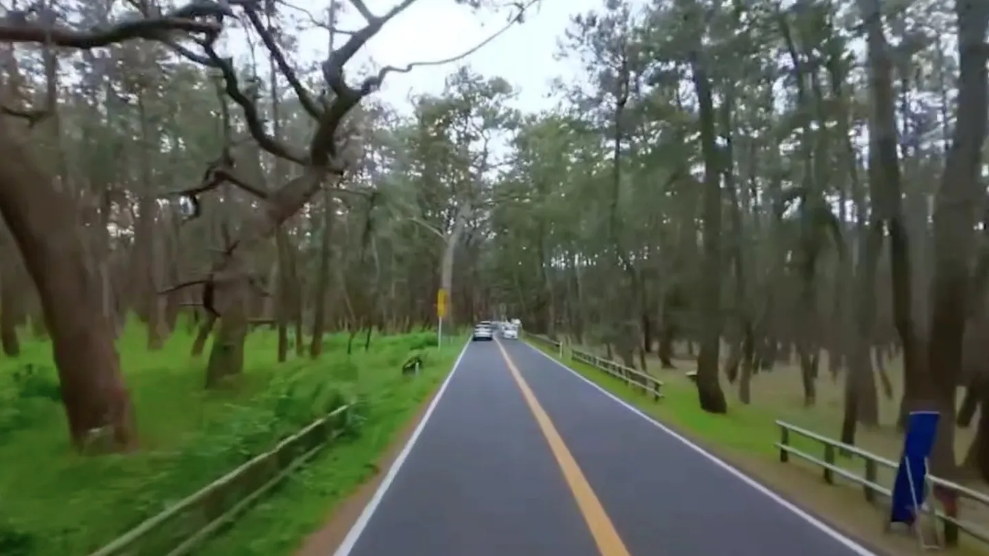 #5. QuixPlayer (Meta) Ved: NeoRealX