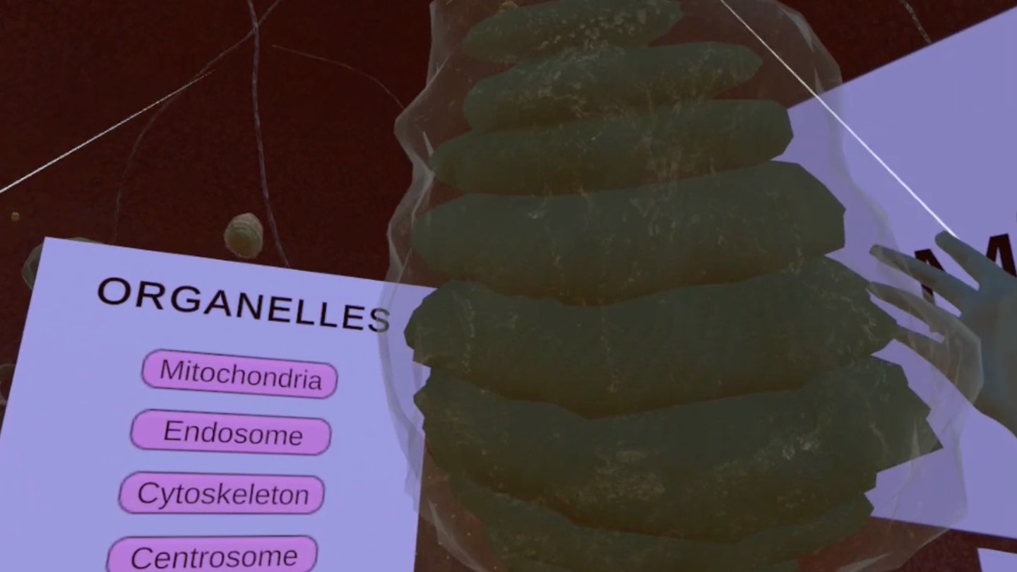 #6. The VR Cell (Meta) Podle: STEMersive Labs