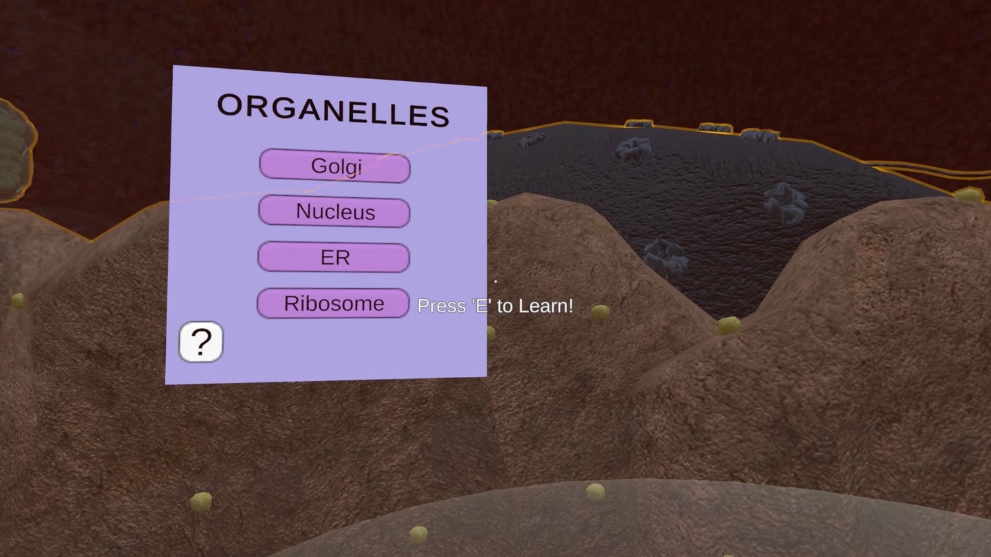 #5. The VR Cell (Meta) Podle: STEMersive Labs