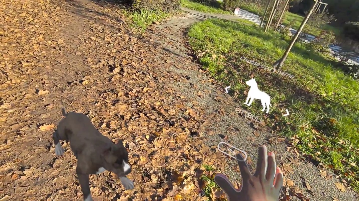 #3. MyPetXR (Meta) di: Metagate Studio