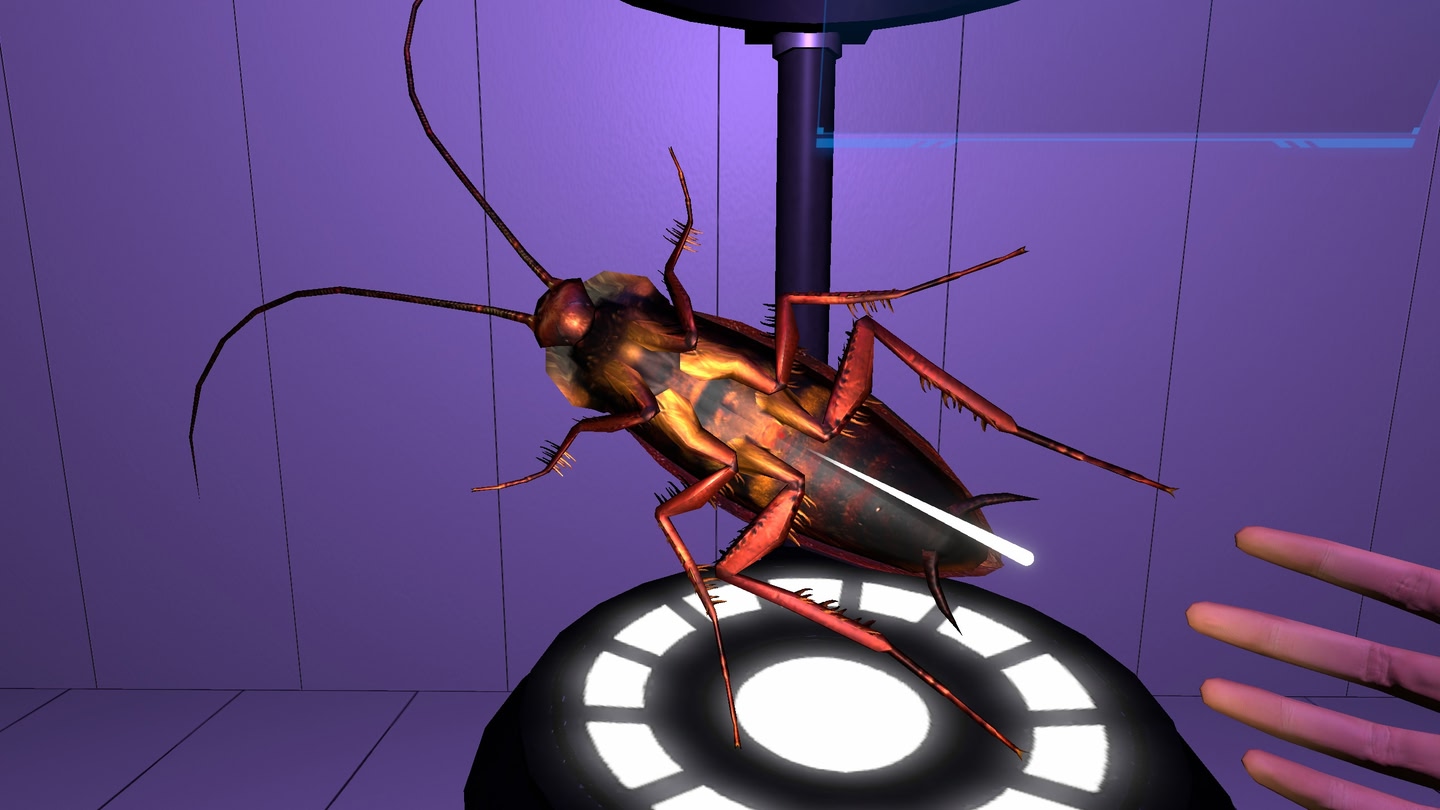 #4. FEAR OF BUGS 2 (Meta) 由: GOODVISION CORPORATION