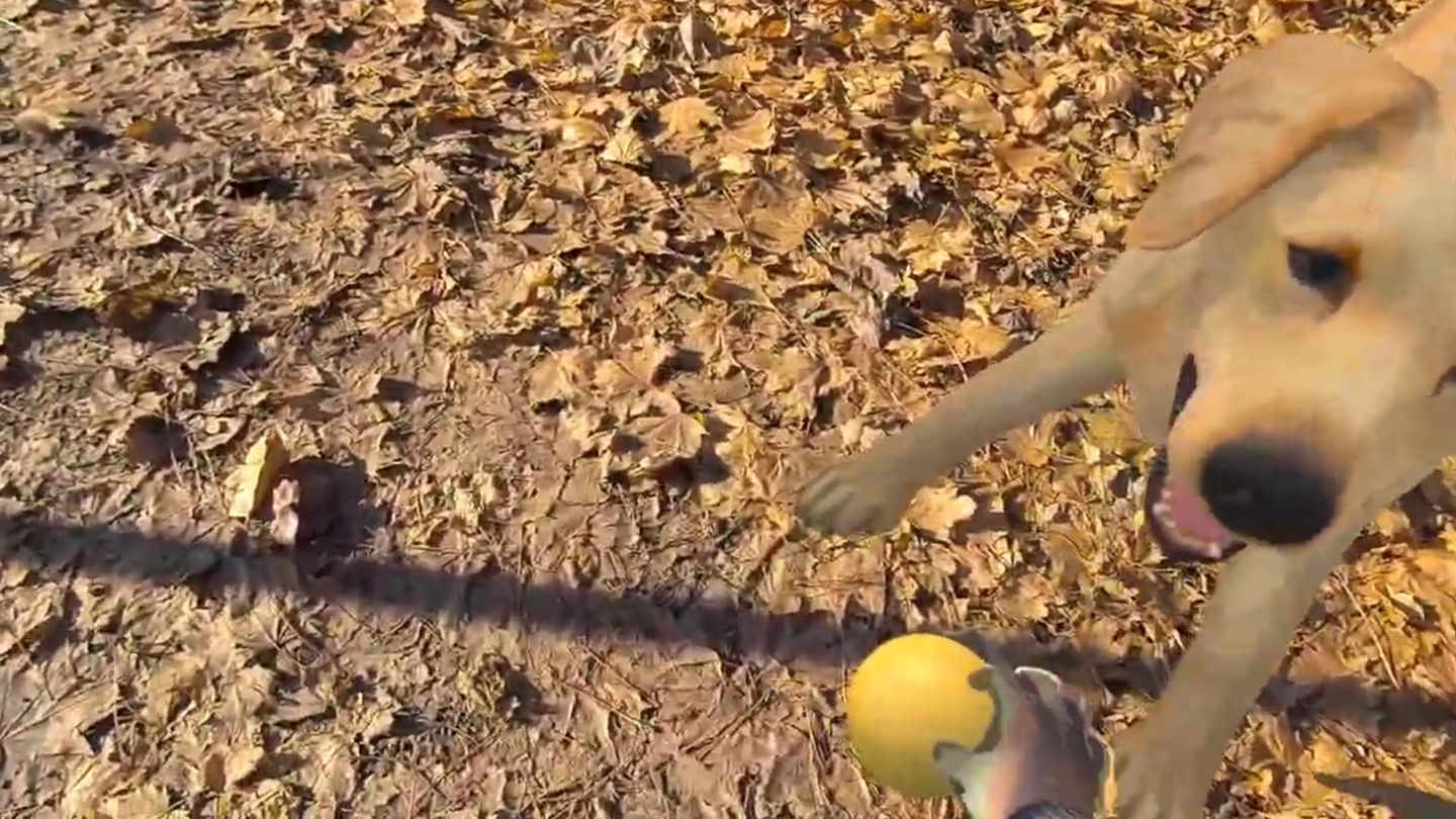 #4. MyPetXR (Meta) 由: Metagate Studio